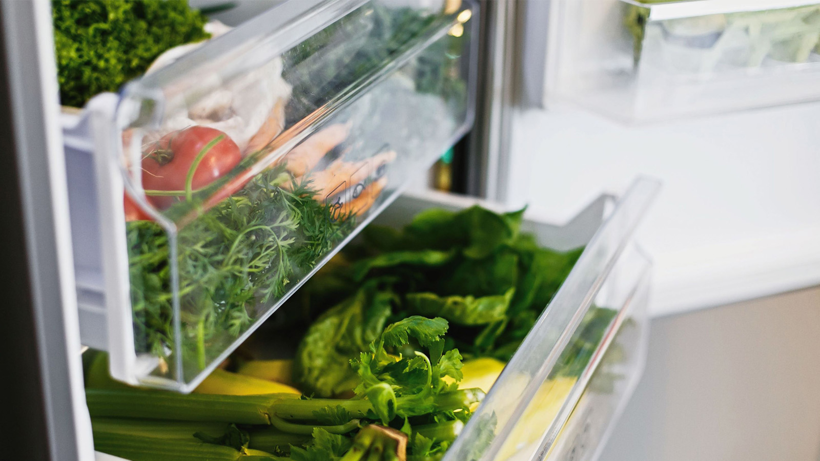 Fresh vegetables in reusable grocery bags